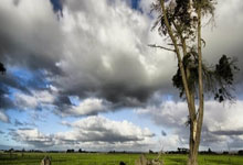 比利亚雷亚尔三连败，欧战形势堪忧