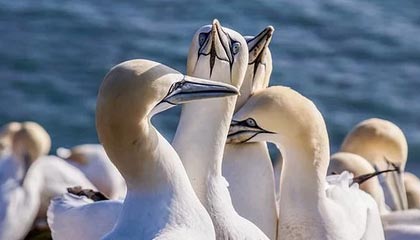 开云体育入口官网-罗马客场负于切沃，欧战席位受威胁，罗马客场队服