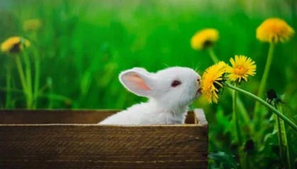 开云体育在线入口-纷争不止，欧洲杯预选赛战火蔓延