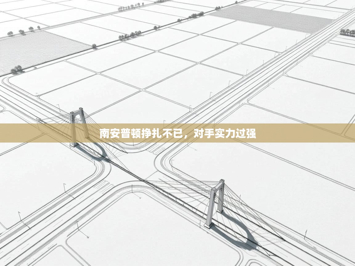 南安普顿挣扎不已，对手实力过强  第2张