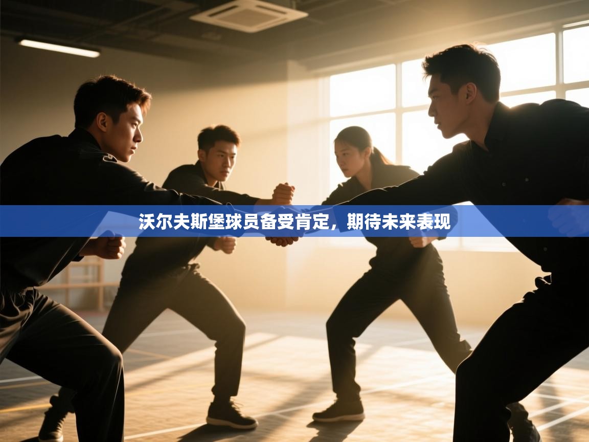 沃尔夫斯堡球员备受肯定,期待未来表现 第2张