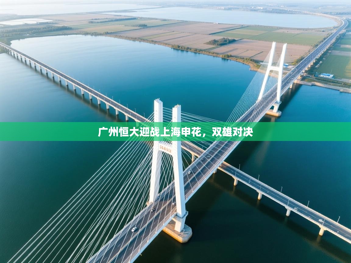 广州恒大迎战上海申花,双雄对决