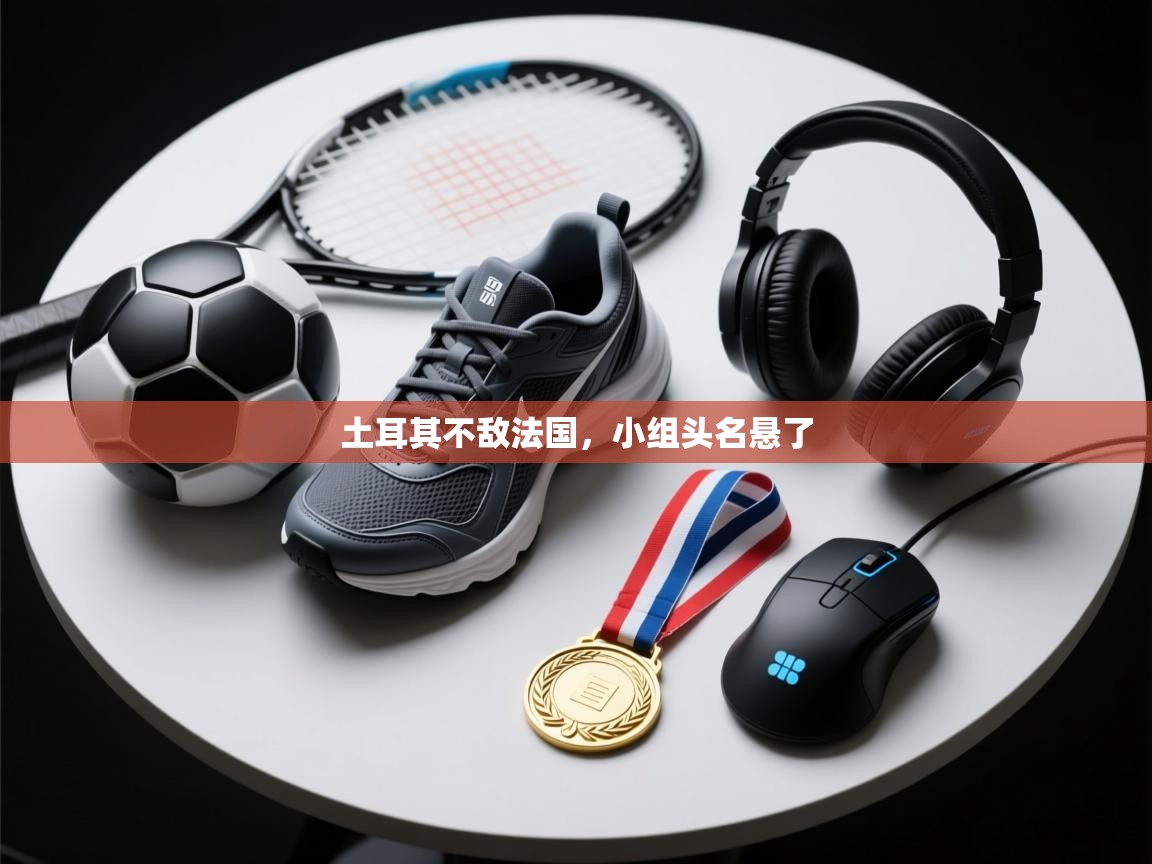 土耳其不敌法国，小组头名悬了  第1张